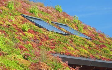 Betley living roof systems