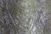 Betley fibreglass roof work